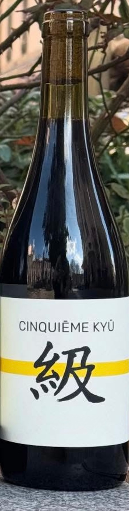 Ex Materia - Cinquième Kyu