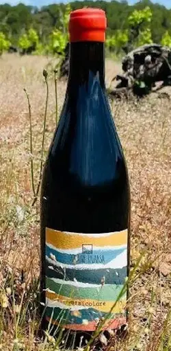 Domaine Balansa - Versicolore